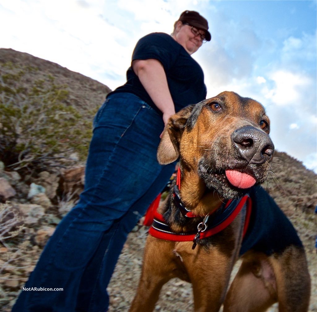 Dog mine exploring