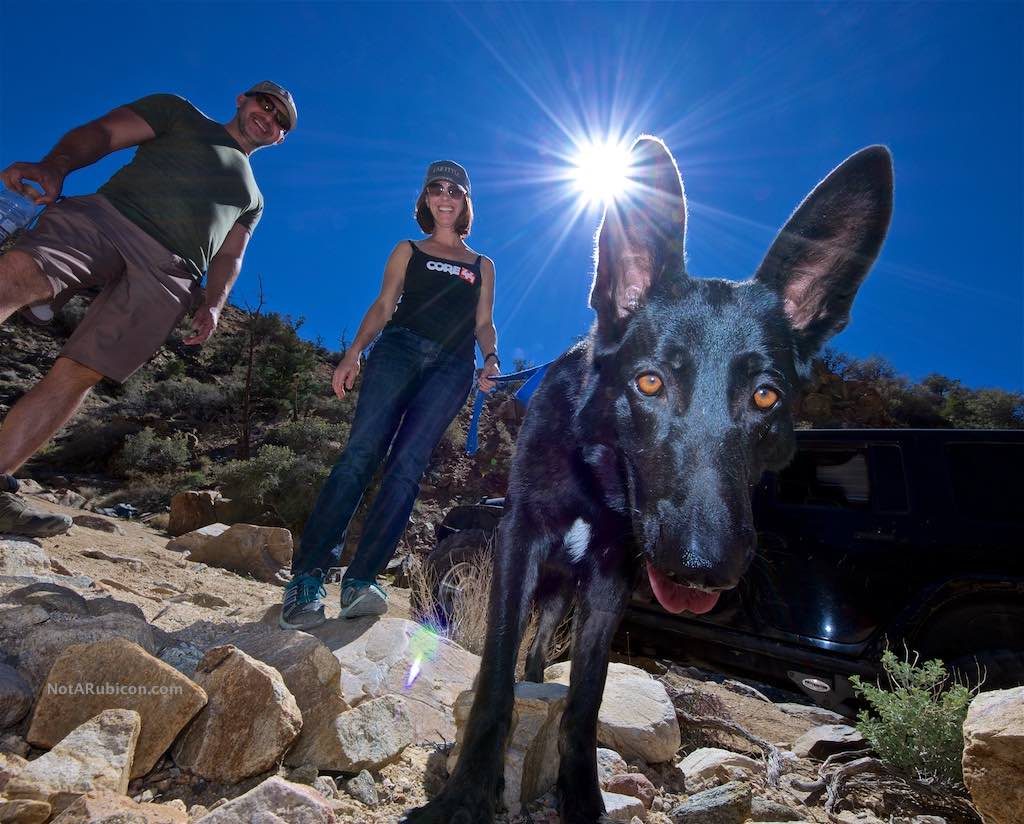Dog on Mottino Wash